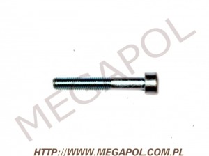 AKCESORIA - Śruby  - Śruba wielozaworu Tomasetto-00 / M5 x 40mm(długość całkowita)